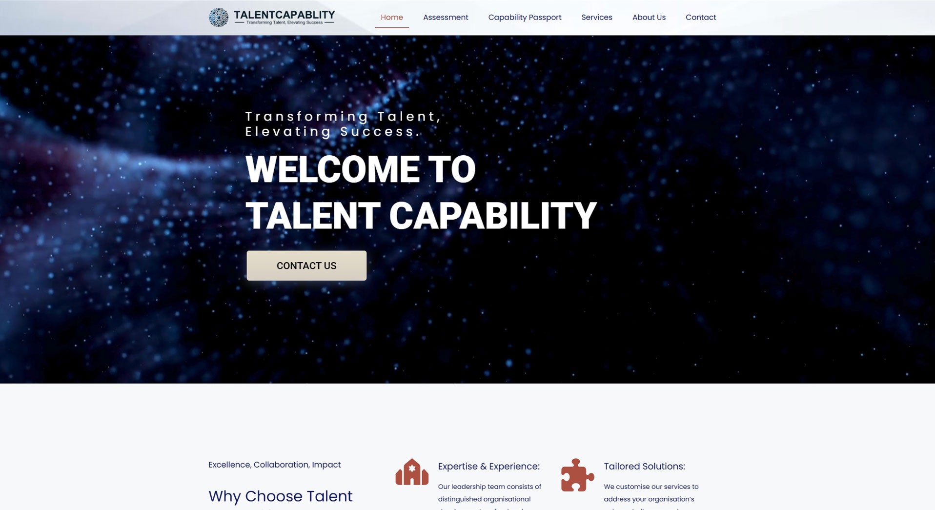 Talent Capability