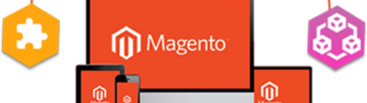 Cost of a Magento Website