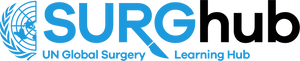 surghub-logo